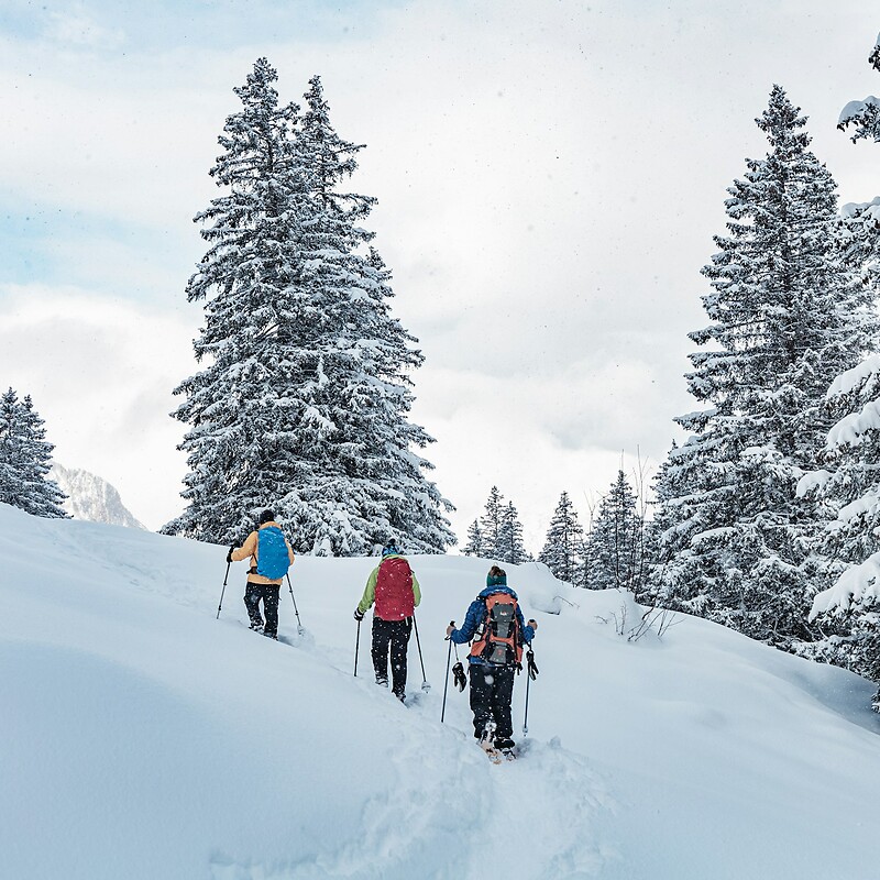 Schneeschuh- und Winterwandern