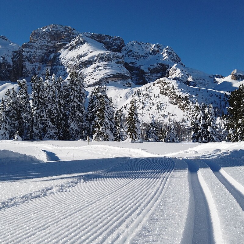 Langlaufski