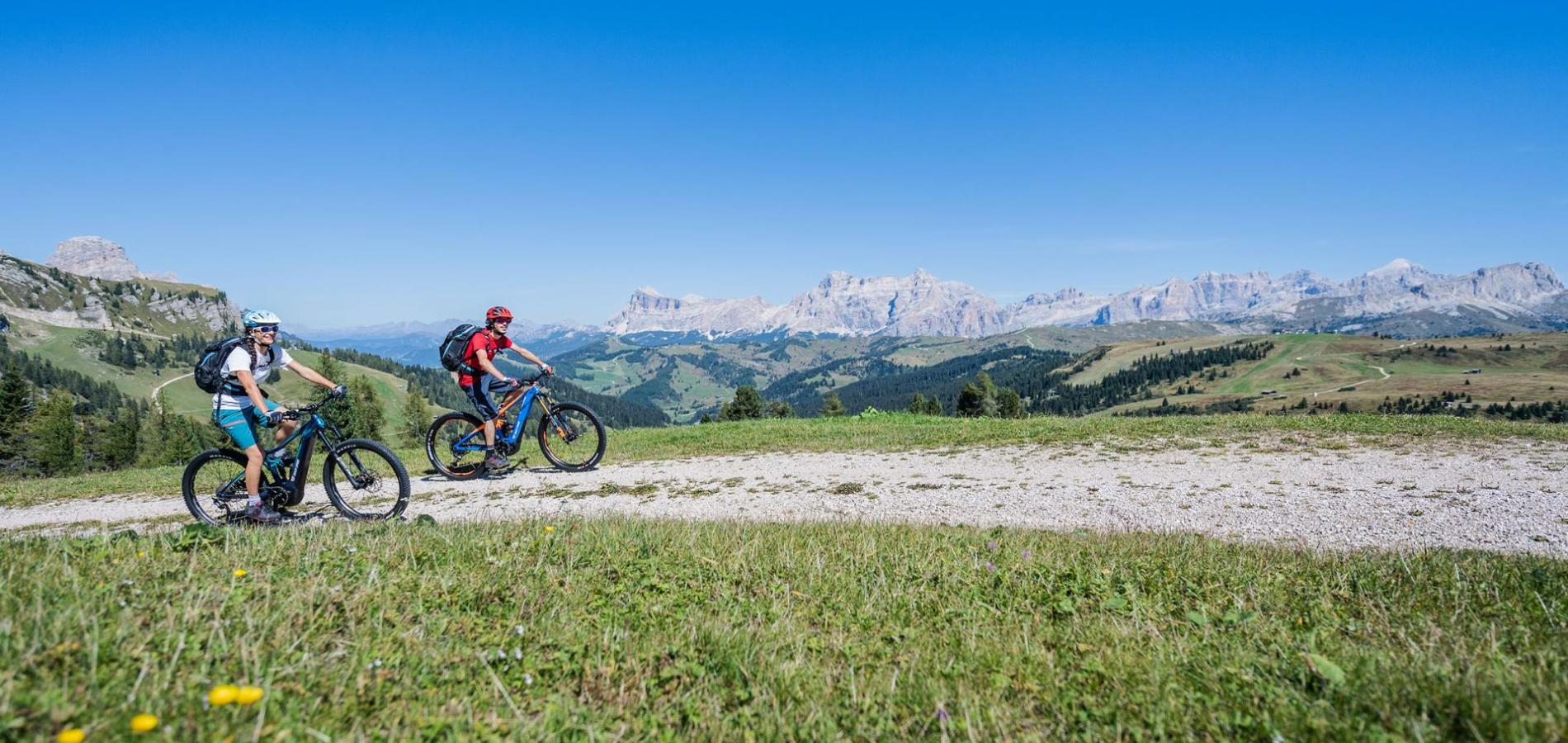 Mountainbike in estate