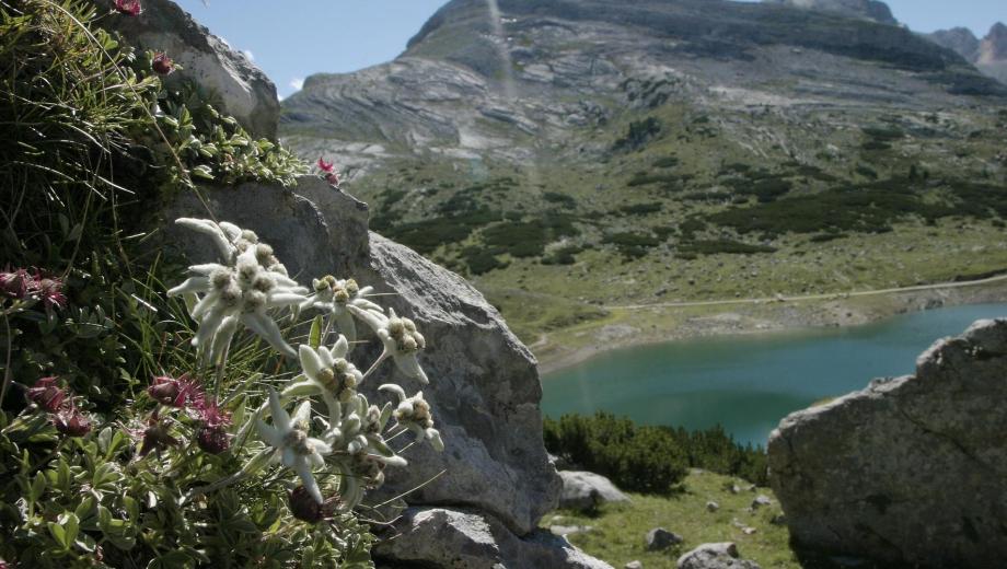 At the Lake Lagazuoi