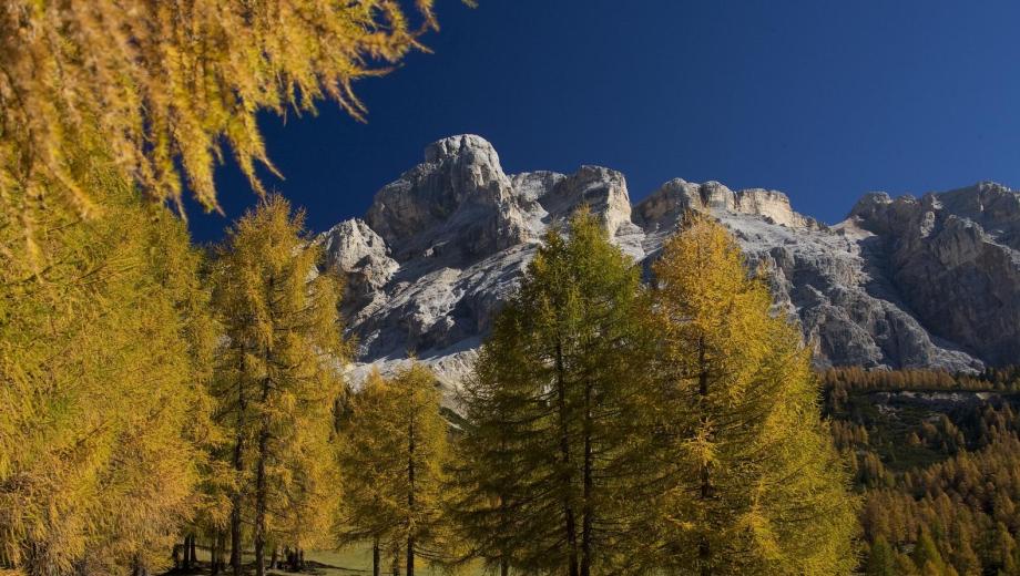 Autumn in South Tyrol