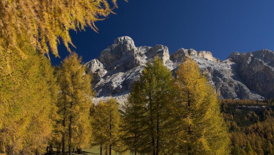 Herbst in Südtirol