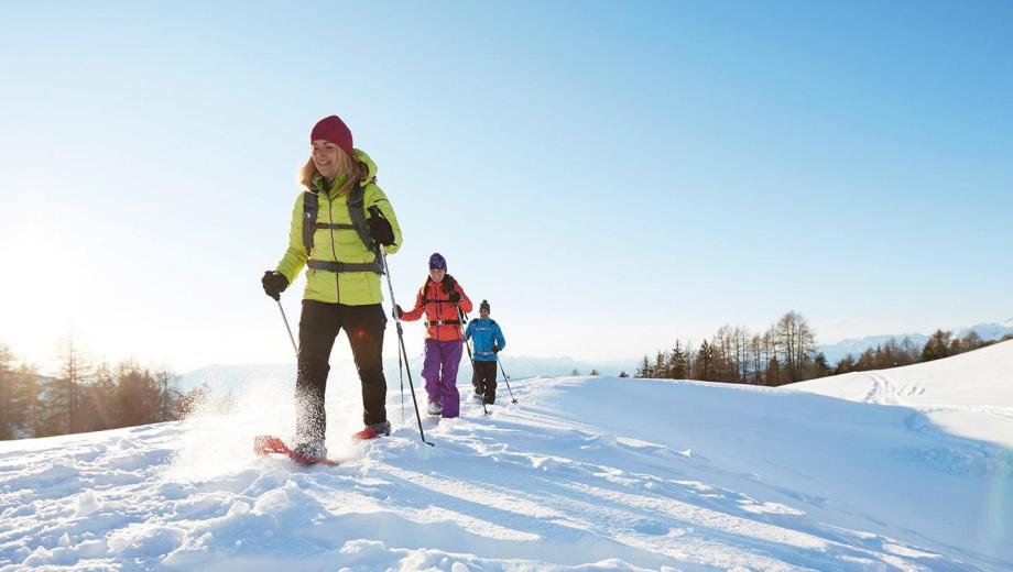 Group Snowshoe Hike