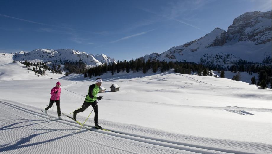 Two Cross-Country Skiers